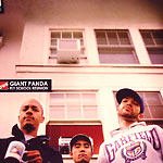 Giant Panda - Fly School Reunion 2xLP