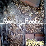 The Acorns - Forming Roots CD