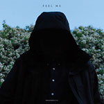 Groundislava - Feel Me CD
