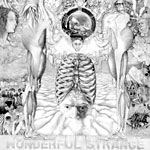 Dialectx Crew - Wonderful Strange CD