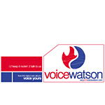 Voice Watson - The I Song 12" Single