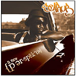 Scarub - A New Perspective CD